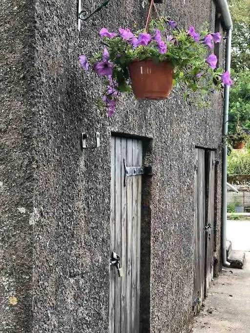 Appartamento Lucy'S Loft Cork